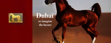 ROYAL HORSE NATURAL SOLID PERFUME & 24K GOLD
